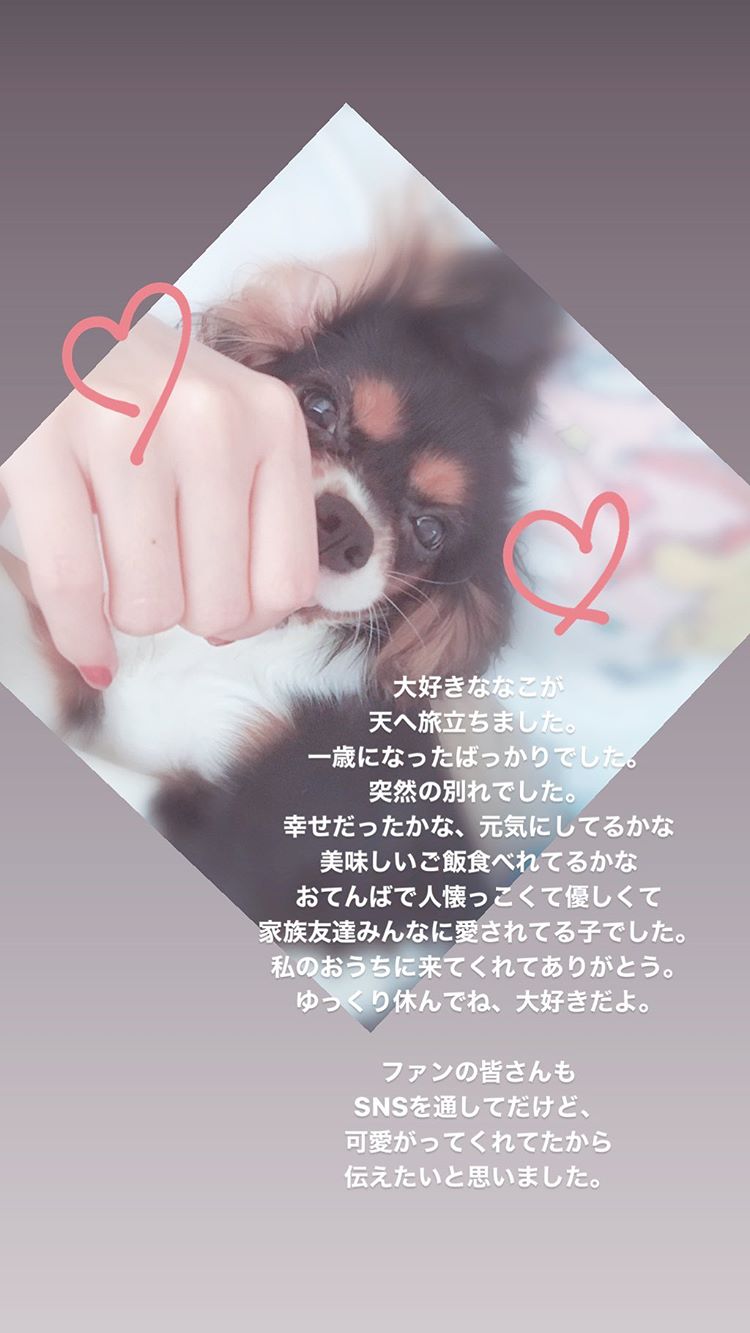 NGT48R^񂪔zMɂāwEĂcx@^c̓o[֗^F߂AQ҂Ӎ߁1819 YouTube>3{ ->摜>61 