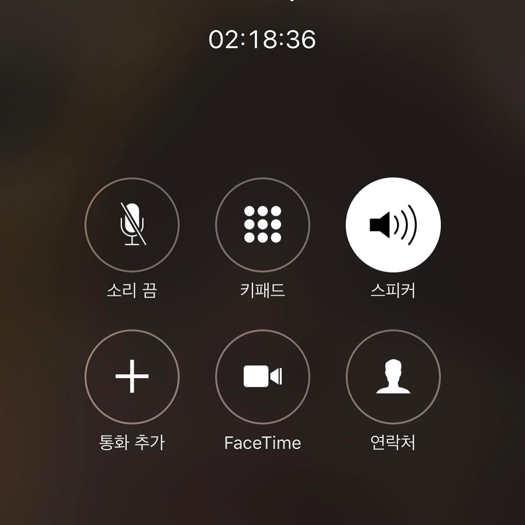 Скриншот разговора по телефону